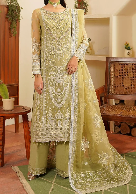 Maryam's Hayat Pakistani Luxury Organza Dress